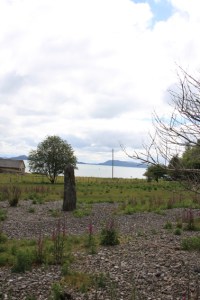 Årbakka ved stranden